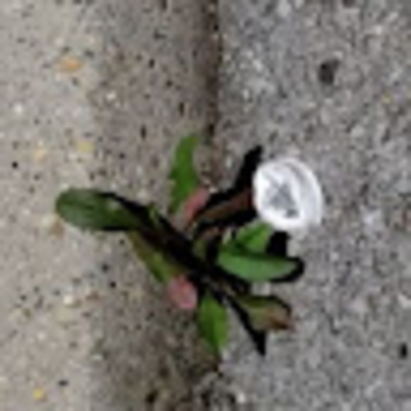 Meet your Posher, Brian - Picture 1 of 1